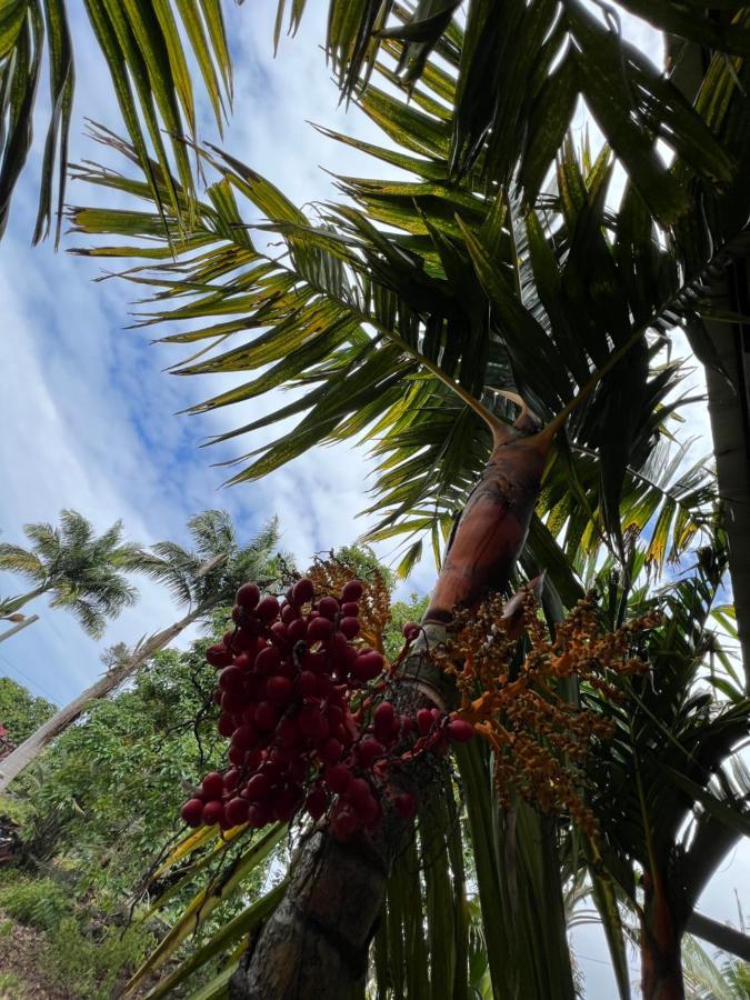 Villa Hawaii Getaway Holualoa Esterno foto